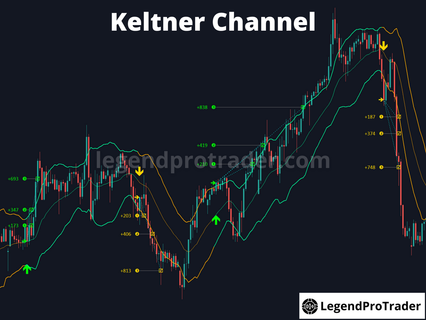Legend Trade Management System (LTMS) V11